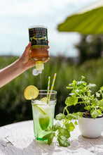 Lade das Bild in den Galerie-Viewer, Stevia Sirup Grüner Apfel